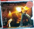 画像1: LED ZEPPELIN / RELIC FROM A DIFFERENT AGE 【3CD】 (1)